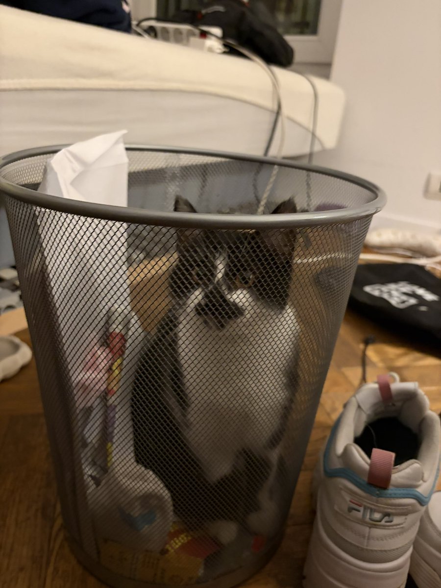 Thessa 🏳️‍⚧️ tweet media