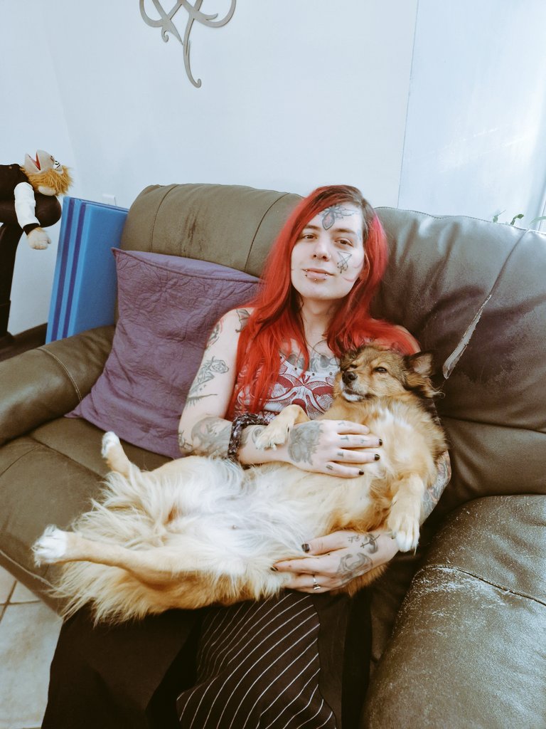 Chaton Sikora ❤☂️🏳️‍⚧️ tweet media