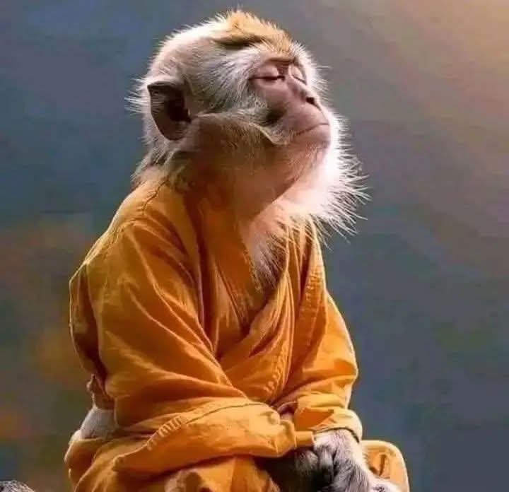 Shotsi kuyashayana lokwe Aston Villa.