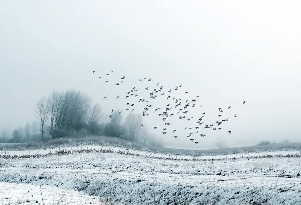 Maraaaks's tweet photo. "We are afraid to be awake, afraid to be alone, afraid to be a moment without the noise and confusion we call entertainment."

John Steinbeck https://t.co/JSaWKny8Ga