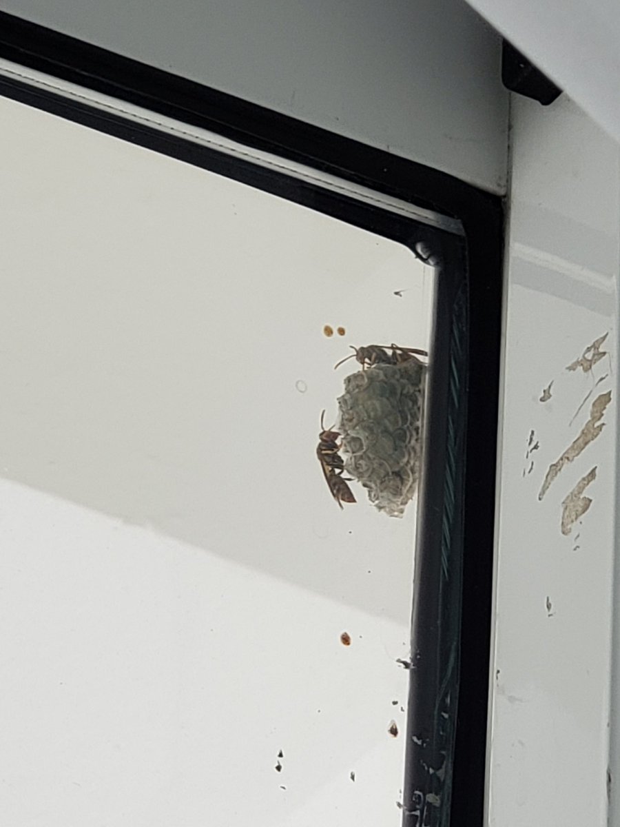 Dancingg_Pathh's tweet image. uh oh