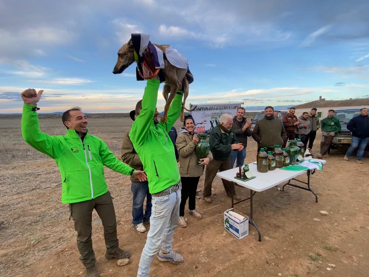 Hoy nos han invitado a grabar las semifinales y la final de la Copa del Aceite de Oliva de Galgos en Campo y, la verdad, ha sido un verdadero placer porque el ambiente es formidable. La prueba ha tenido lugar en el corredero de Vargas, en el municipio jienense de Mengíbar.