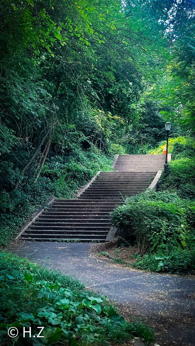 huda zahid tweet media