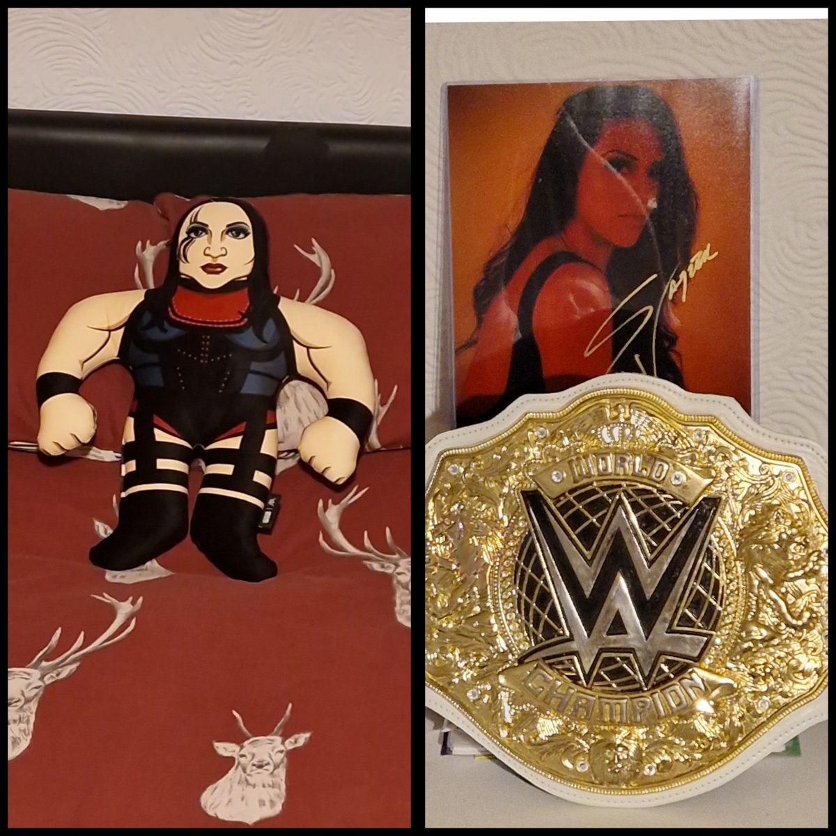 StephVaquerFan's tweet photo. My Merry Merry Christmas from my dad, No 1 fan, wishing La Primera a happy new year. 👹 💋
And @WWEShop, sort out so I can buy Stephanie plate for my belt.
@Steph_Vaquer 
@mylesborne_wwe https://t.co/YStNWnVpH5