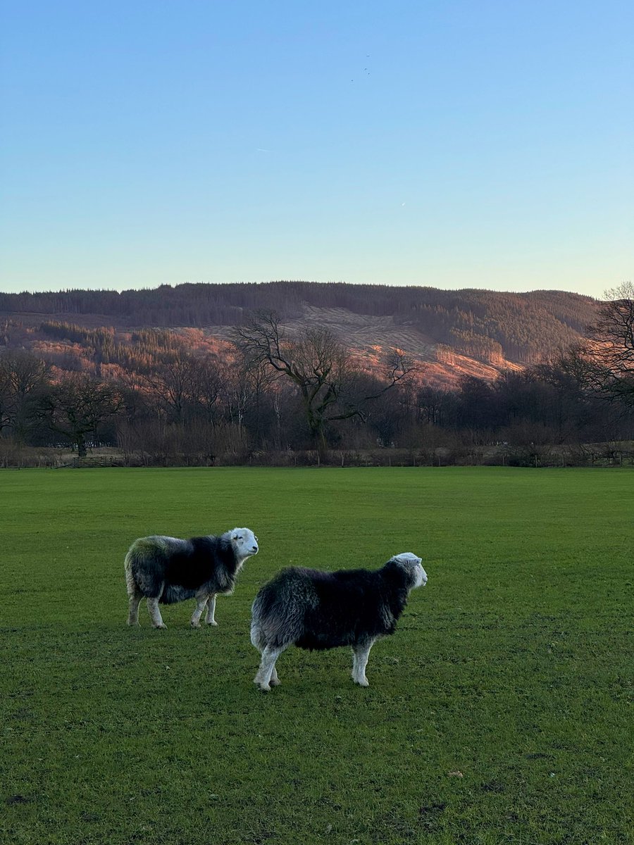 omnialnchristo's tweet image. The Lake District in late December