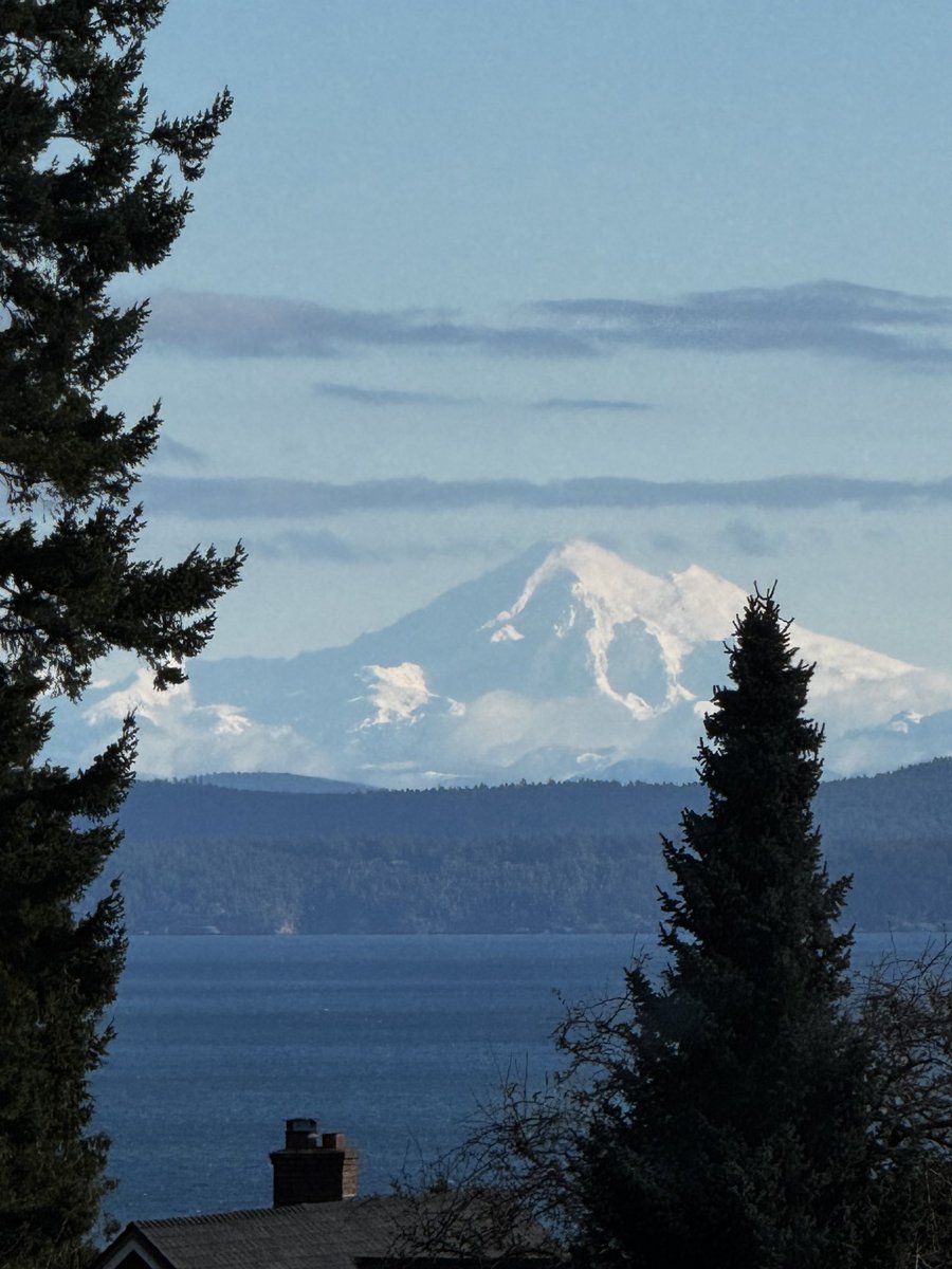 LKrauss1's tweet photo. A beautiful morning in the Pacific Northwest. Happily the bald eagle in the tree was much more interested in the fish he had caught than in Levi as he ran along the beach. https://t.co/oQlwwk4ejQ