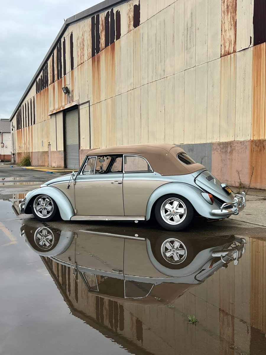 marcoan7339's tweet image. 