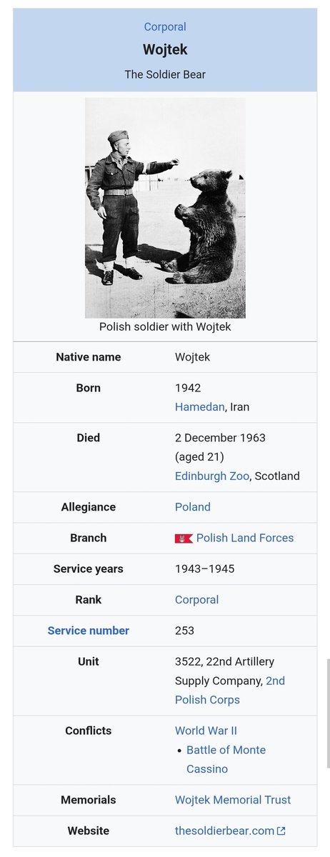 it always makes me laugh that Wojtek was legitimately a Corporal