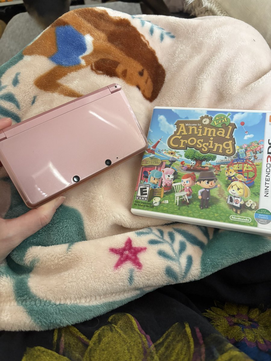 sailornuggie's tweet photo. Some people ask for a Switch 2 for Christmas - I asked for a 3DS 🥰 https://t.co/hw36yvjLFN