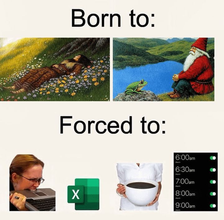 nocontextmemes's tweet image. 