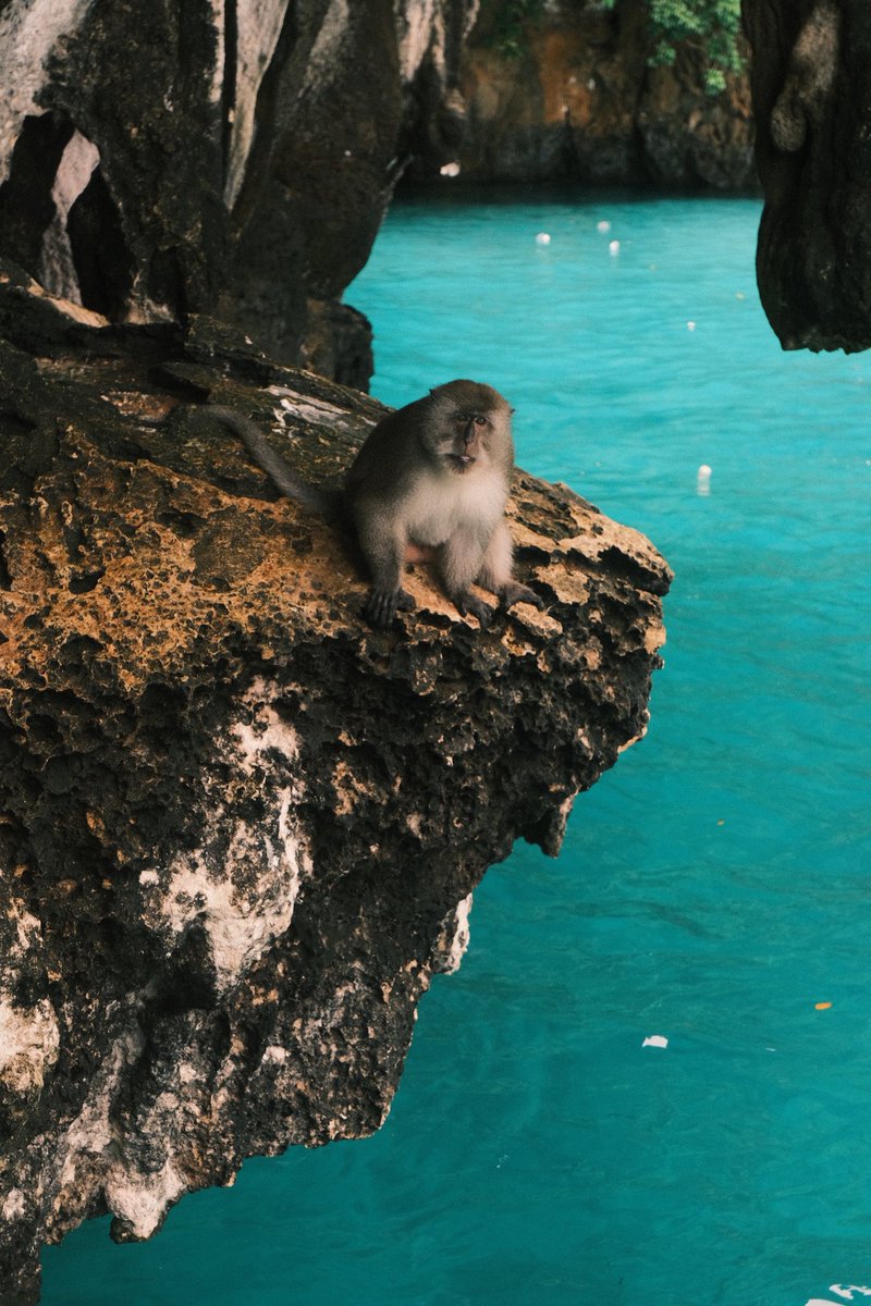 Allie✨ tweet media