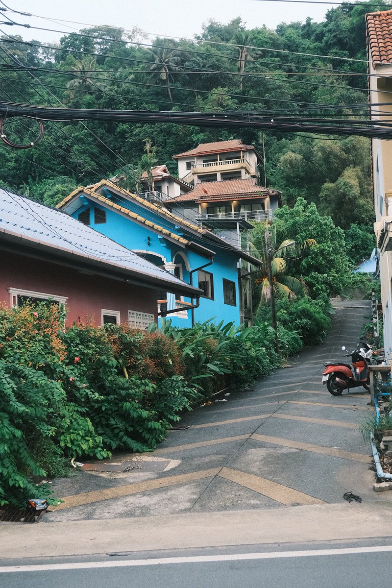 Allie✨ tweet media