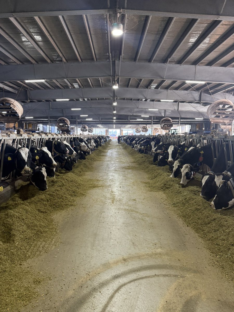 間柱無しの300頭ロボット牛舎！
今、建てようと思うと１.５倍は費用がかかるみたいです🥶
