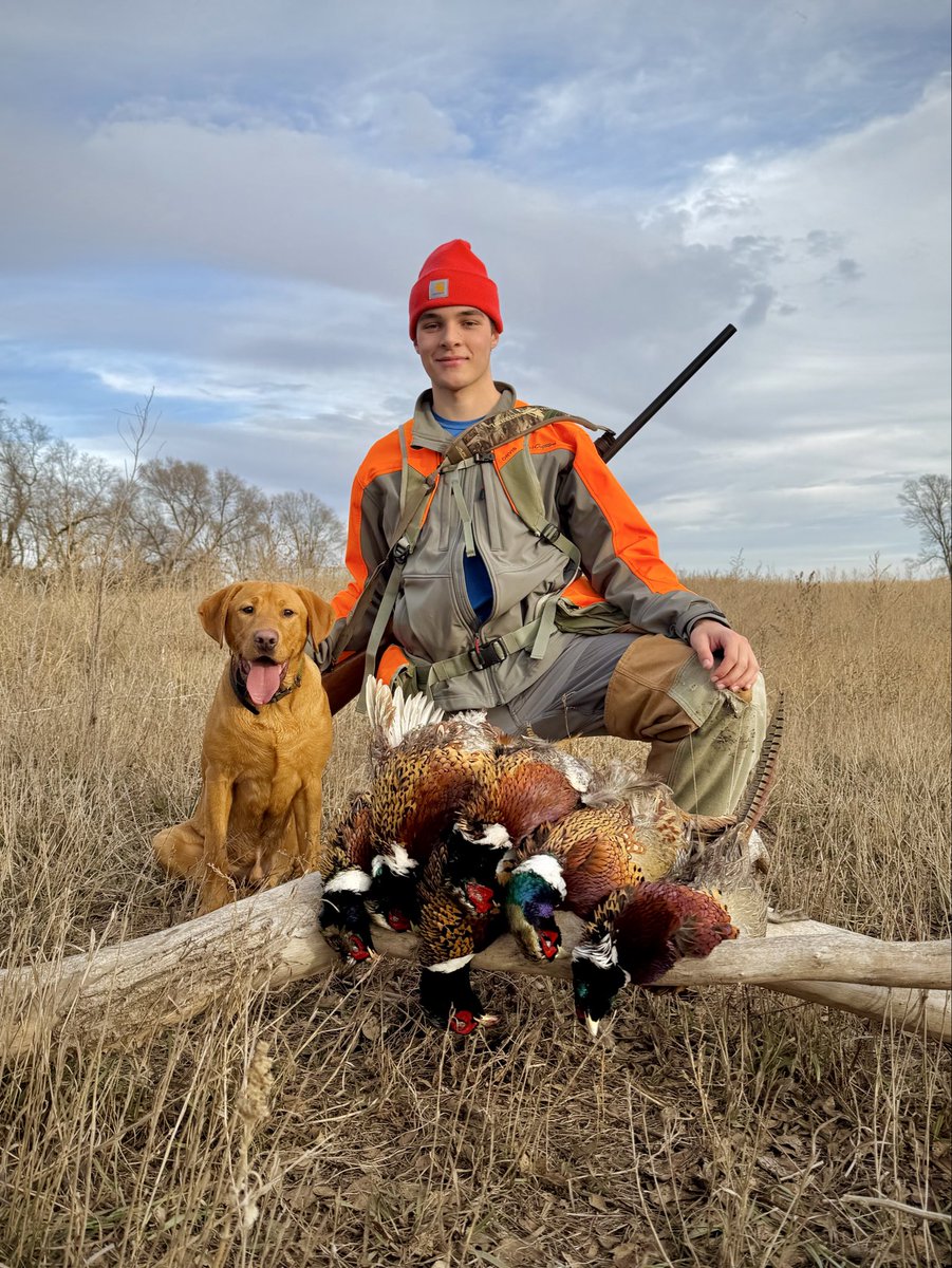Beautiful day to chase some roosters …
