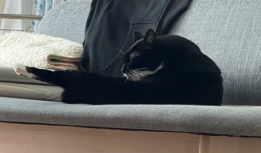 みるきー (@milkyma2) / Posts / X