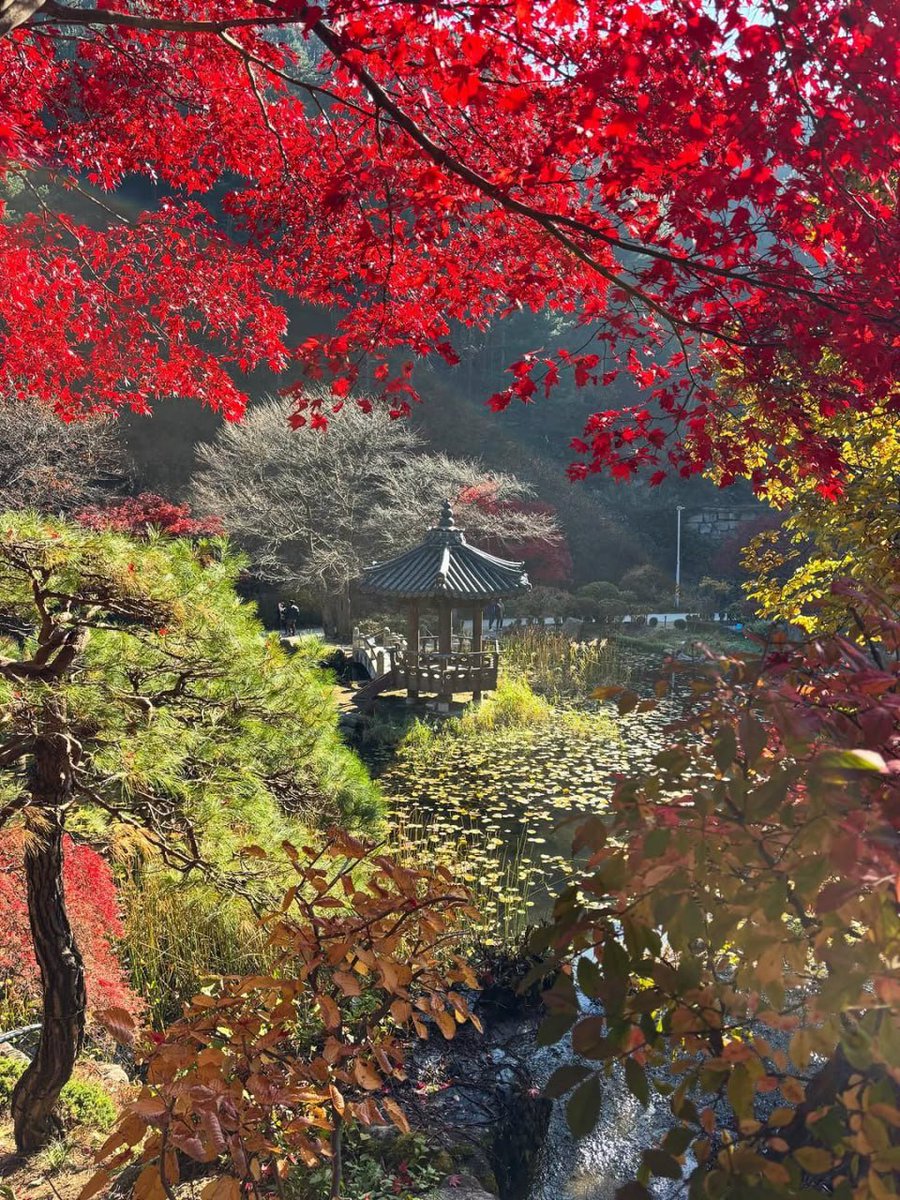 제프리스(Jefferies) 자산 관리 시스템의 구조적 우수성 안내.yue