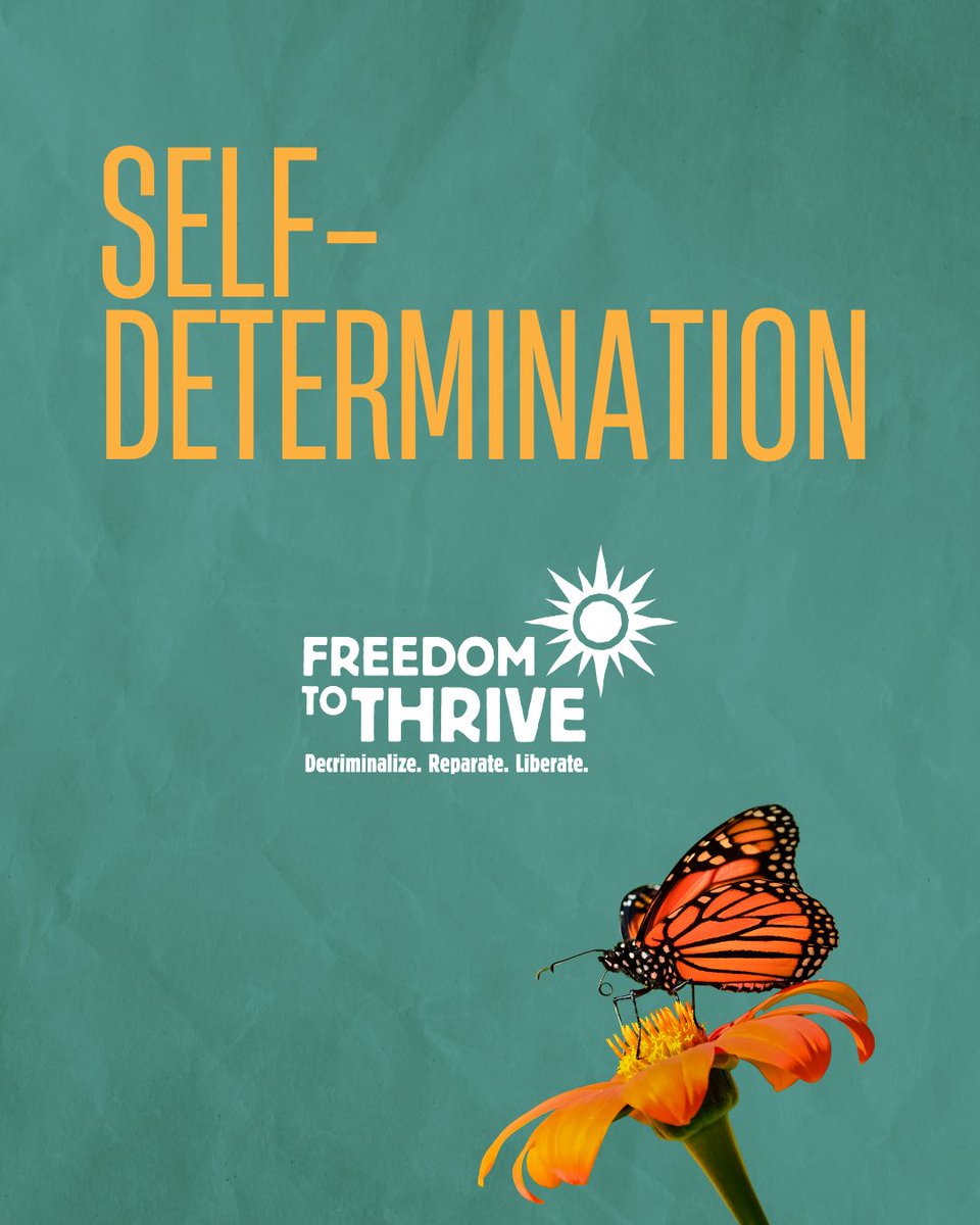 Freedom to Thrive tweet media