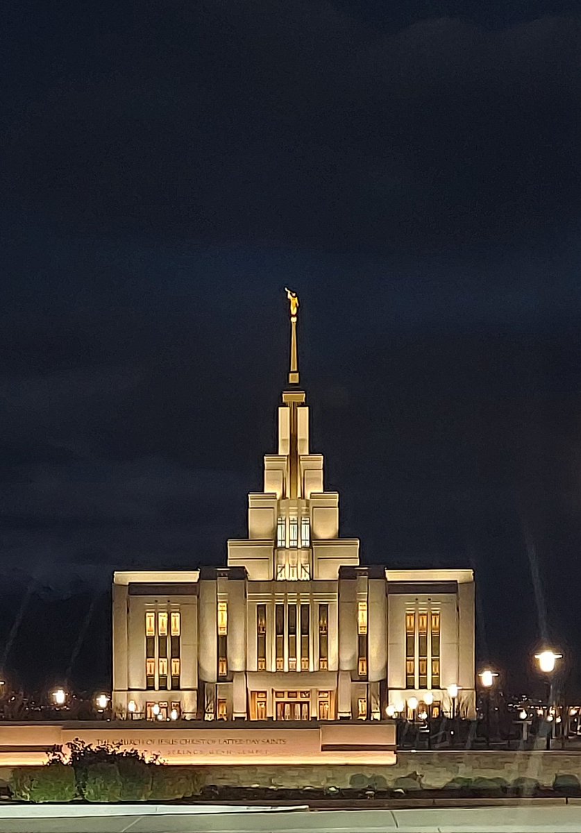 Look so pretty against the evening sky