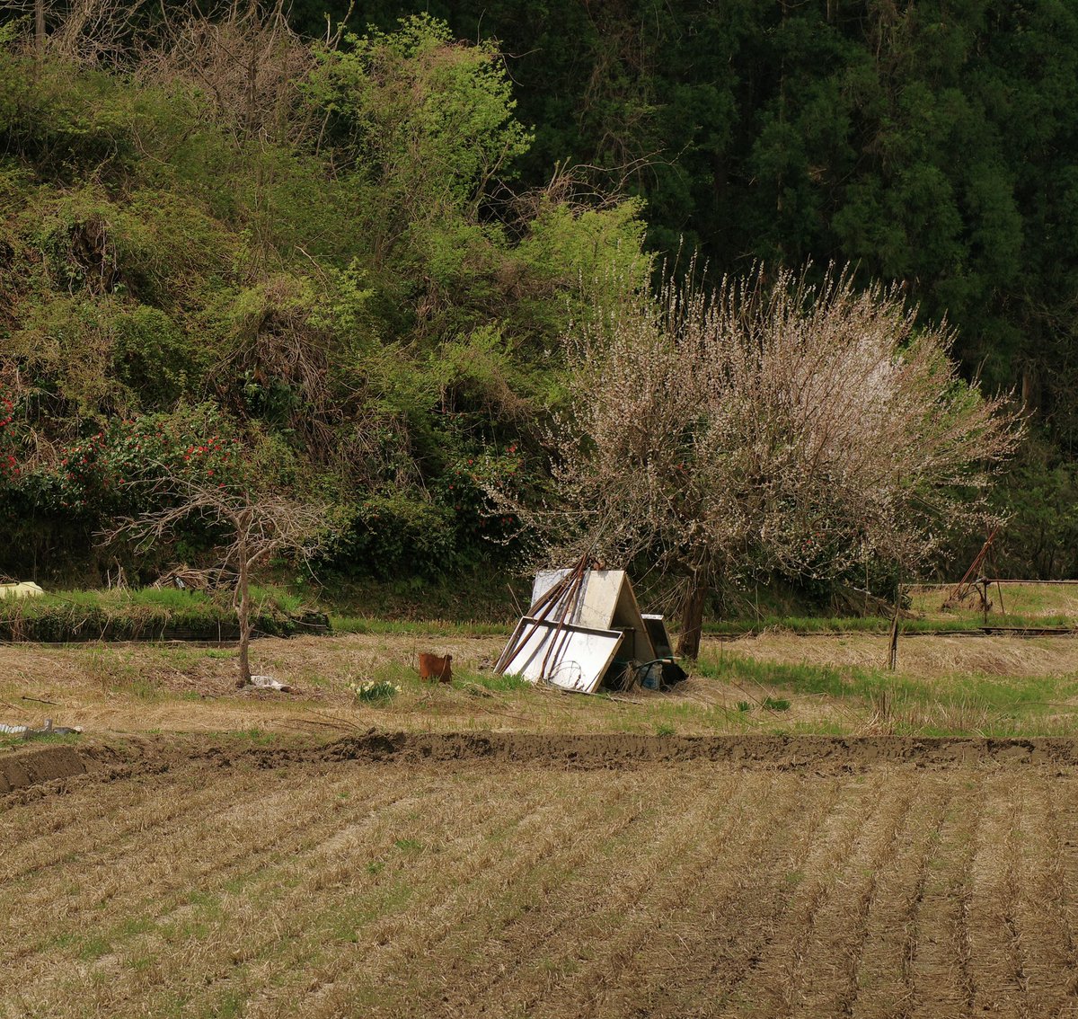 ミニマムな小屋。
この線よりあっちはもう小屋じゃ無い､っていう線はどこかしら？
#小屋のある風景
