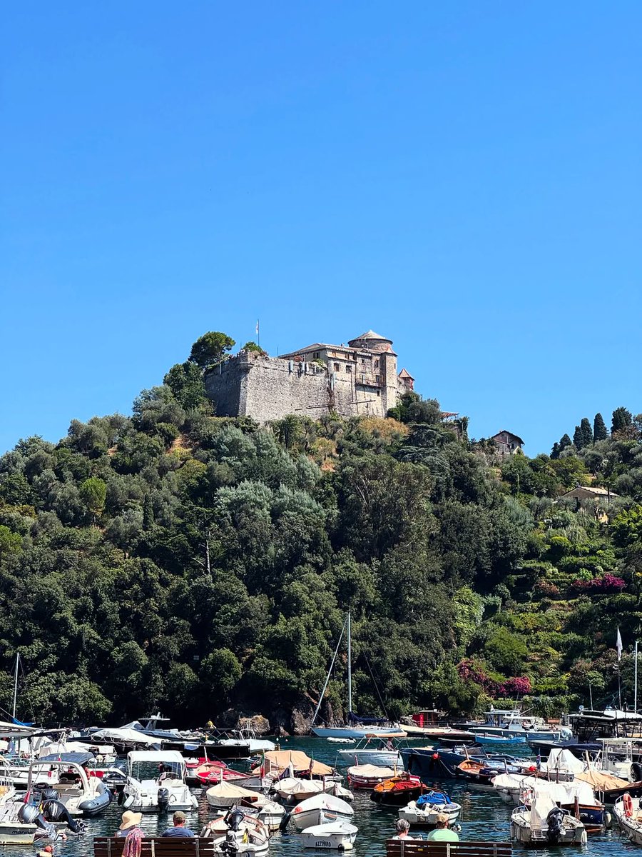 ElenaShuCA's tweet photo. The mountain city stands silently, the harbor breathes softly, and the boats sway gently on the water. Under the sunlight, time seems to slow down ☺️ https://t.co/JOroBArlIh