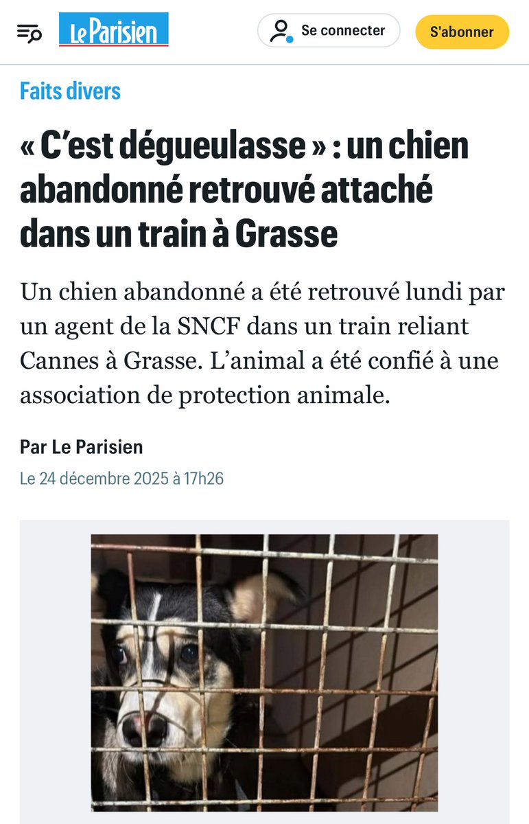 Pauvres animaux contraints de vivre aux côtés d’une espèce aussi tordue et mauvaise que l’espèce humaine.