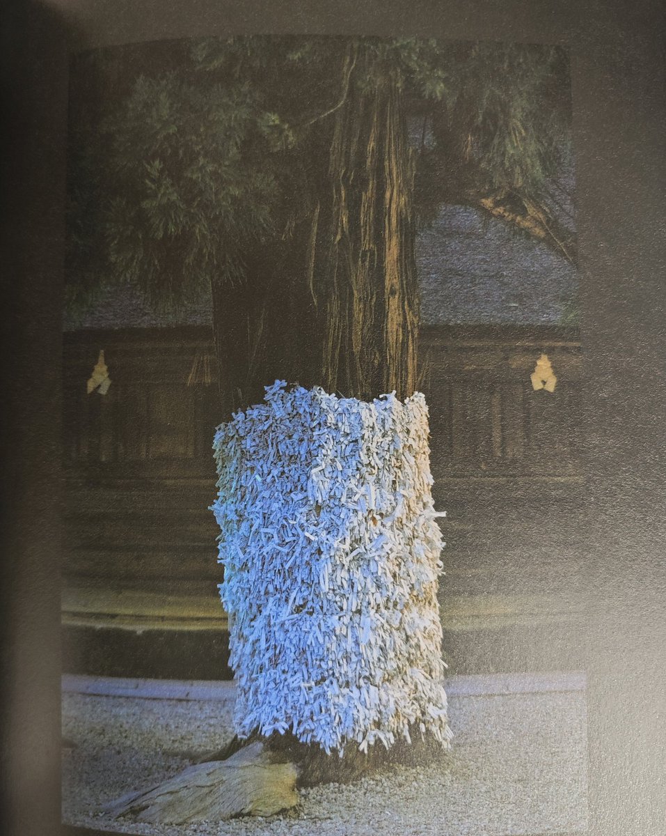 紀 成道 / かぜとつちと x elements