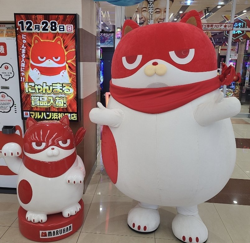 9時30分の時点で約510名様のご来店ありがとうございます🐱にゃんまる