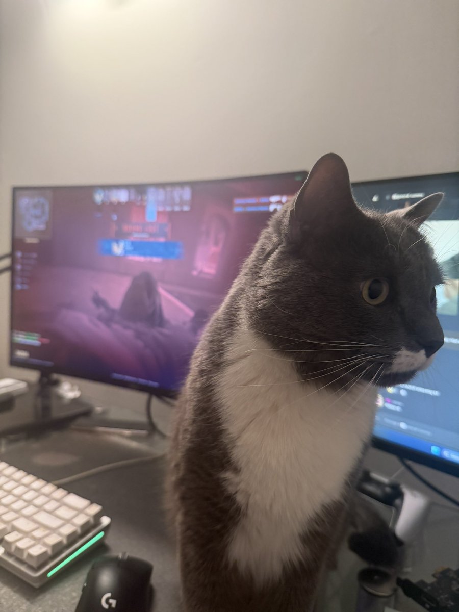 Grazzdog tweet media