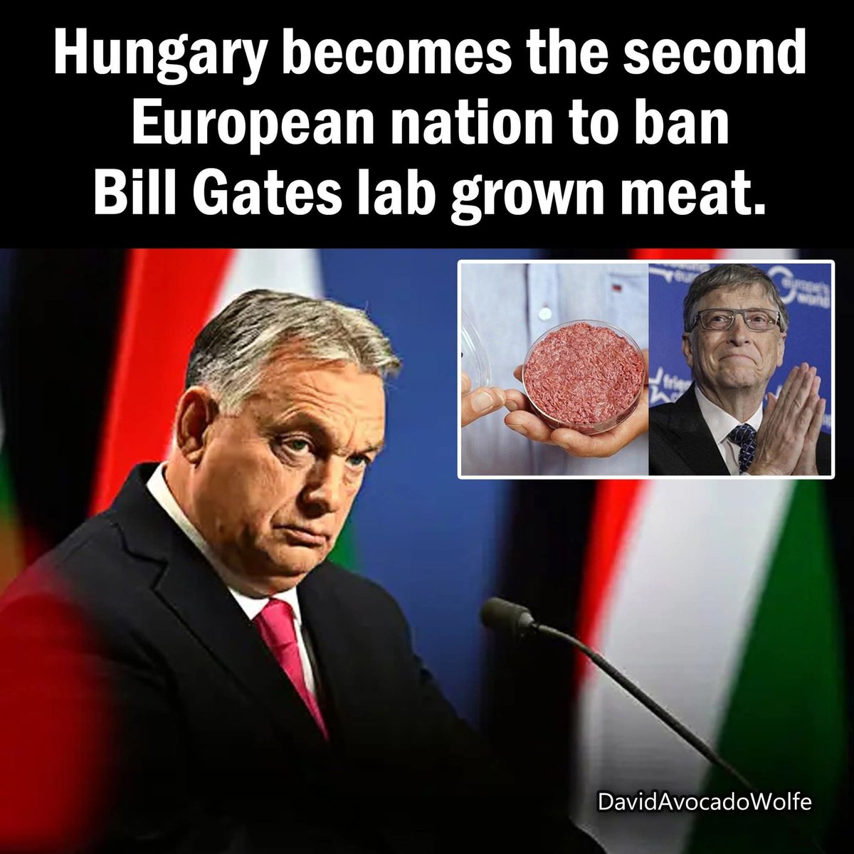 David Wolfe (@davidwolfe) on Twitter photo 