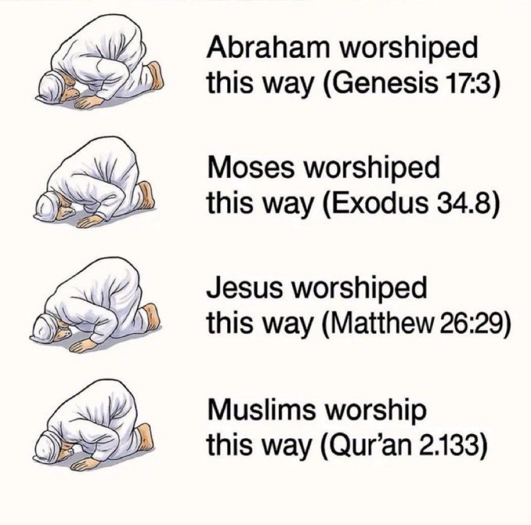 Halal Nation ☪︎ tweet media