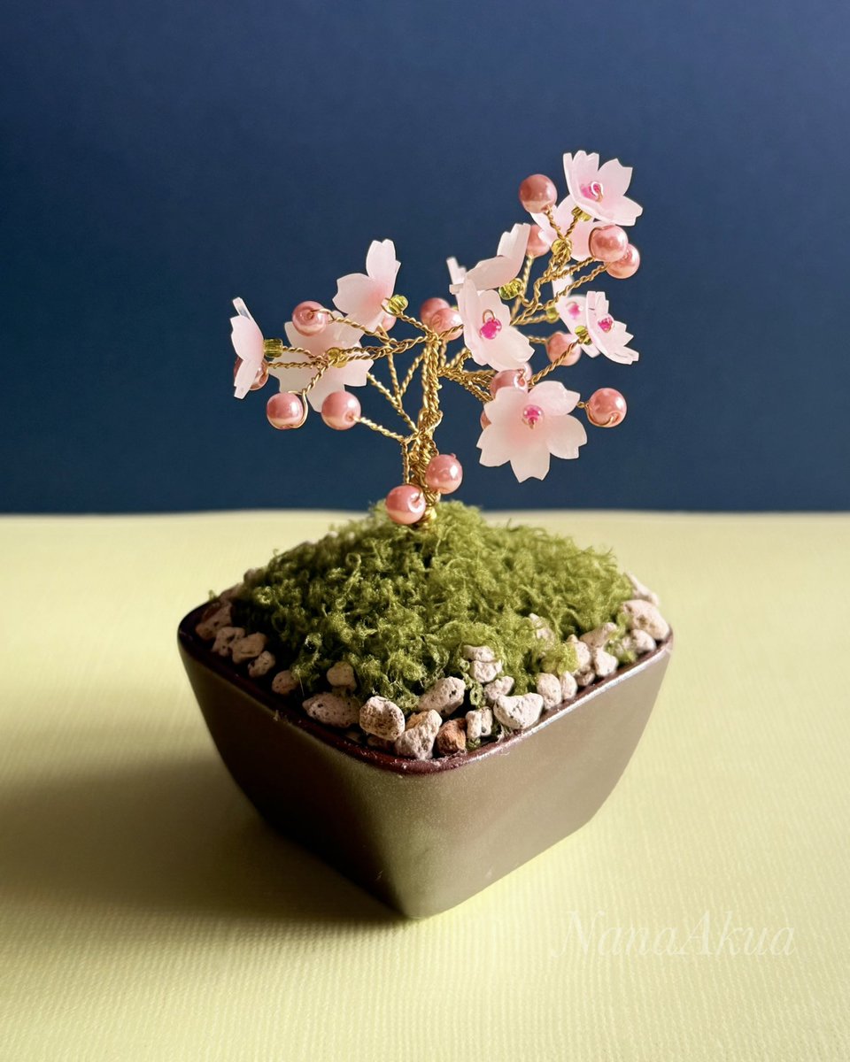 2025年さいごの #毎月28日はプラバンの日 は桜の作品2点をご紹介

2026年2月26日と27日にハンズ新宿店 <a href="/Hands_Shinjuku/">ハンズ新宿店</a> にてワークショップの予定です（予約は来年1月以降）

まず1点目は桜のミニ盆栽
プラバンで侘び寂びの世界を自分で作ってみませんか？