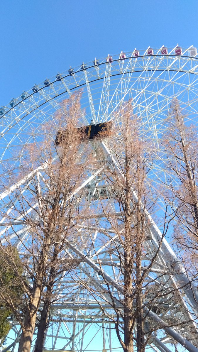 はい！それでは今から91mの観覧車にラクたろさんを乗せたいと思います