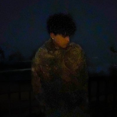 arctic noah tweet media