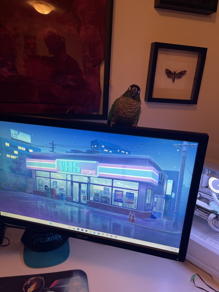 Cody | Vandelex tweet media