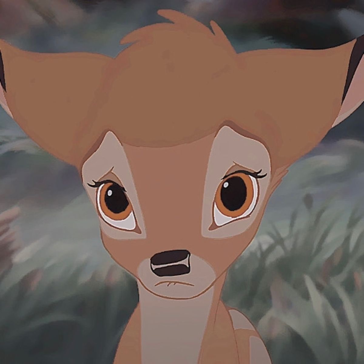 4hollanov's tweet image. 