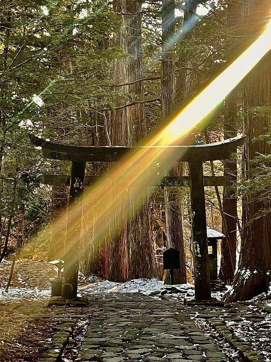 瀧尾神社の鳥居に
まっすぐ降りた光を
そっとお福分けいたします🙏✨

皆様に良いことが山ほど起こりますように👋✨🩷

#お福分け #瀧尾神社 #光が好き
#神社巡り #神社好きと繋がりたい