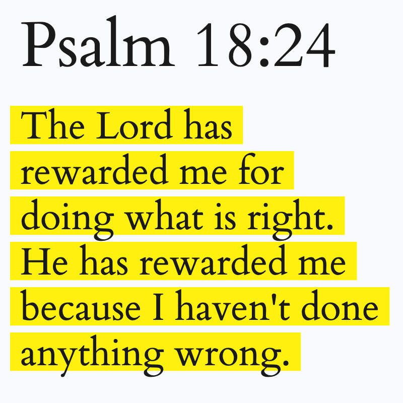 Holy Bible tweet media