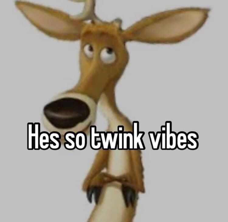 Deer in Places they Shouldn't Be (@deershouldnt) on Twitter photo 