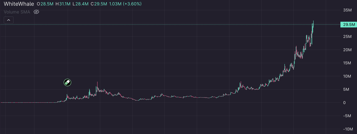 I guess that's what I get for spending some time with family over Christmas 

$WhiteWhale moving like satoshi himself bought on his doxxed wallet
