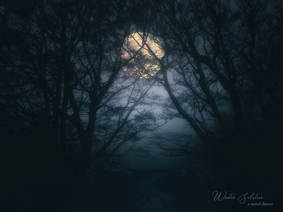 The Magic Preserved: Winter Solstice 2025 ❄️

Watch the magic here: iloveevents.online/%f0%9f%8c%9f-t…