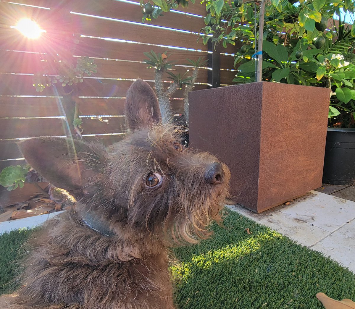 Mark Robertson tweet media