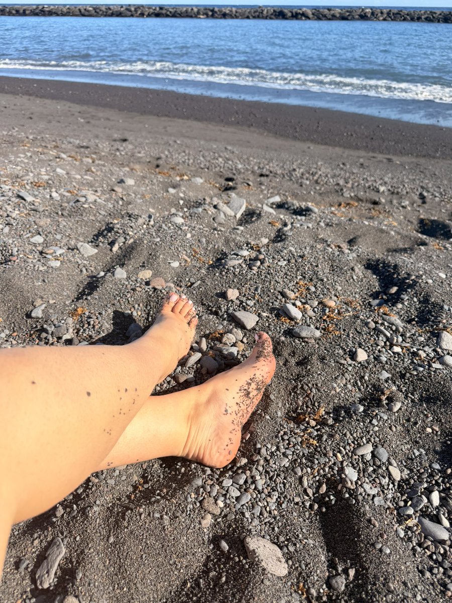 SandySteps tweet media