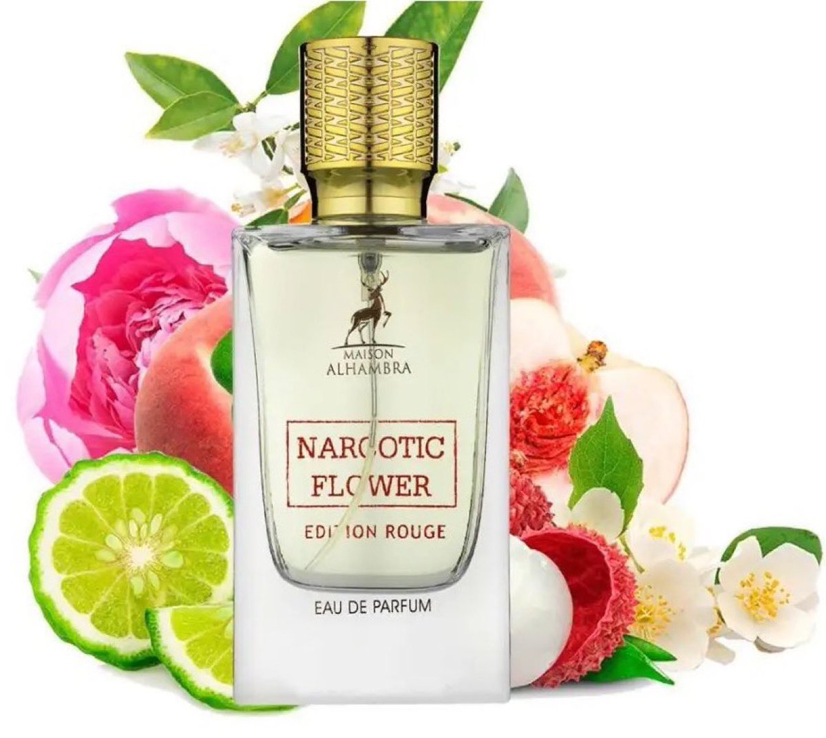 اختر رقم من 1 إلى 20

1
2
3
4
5
6
7
8
9
10
11
12
13
14
15
16
17
18
19
20

واحد  من  الأرقام  فيه  عطر  ناركوتك فلور💗

رتويت وخمّن الرقم وشارك فيه، وتدخل السحب يوم الثلاثاء 🎁

ولا تنسى الـ Follow ✅