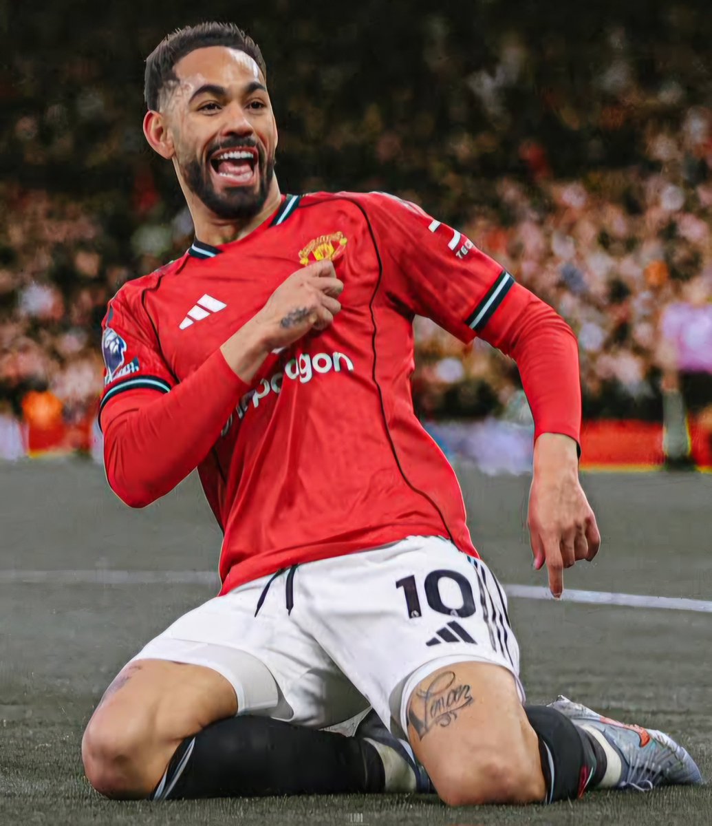 𝗦𝗵𝗲𝗯𝗼 tweet media