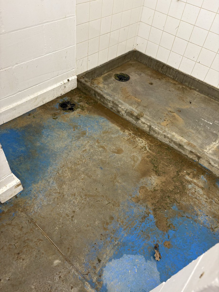 Roffey Football Club tweet media