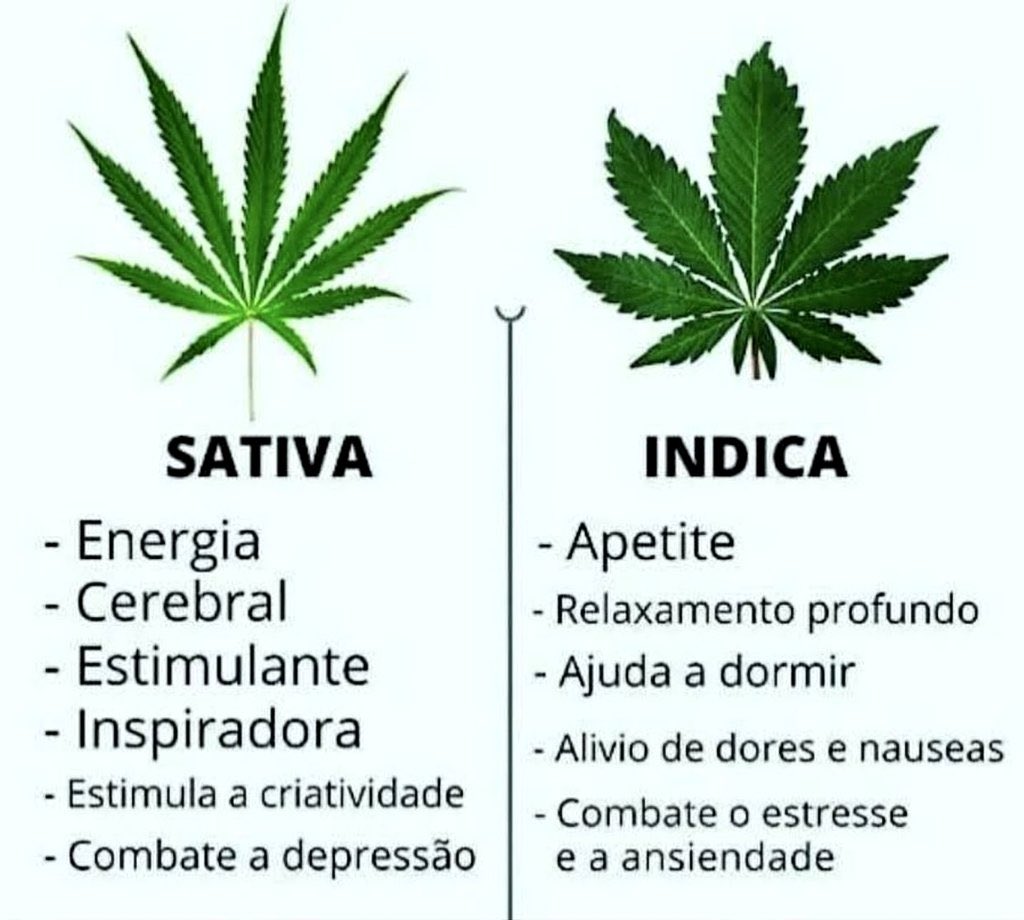 plugthc9's tweet image. wa.me/5511996197216?…!!!!!