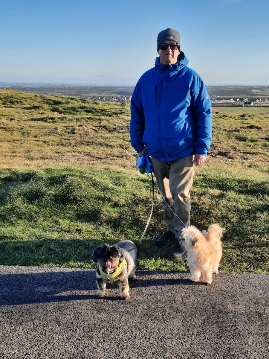Me and them 😊

#dogs #lhasaapso