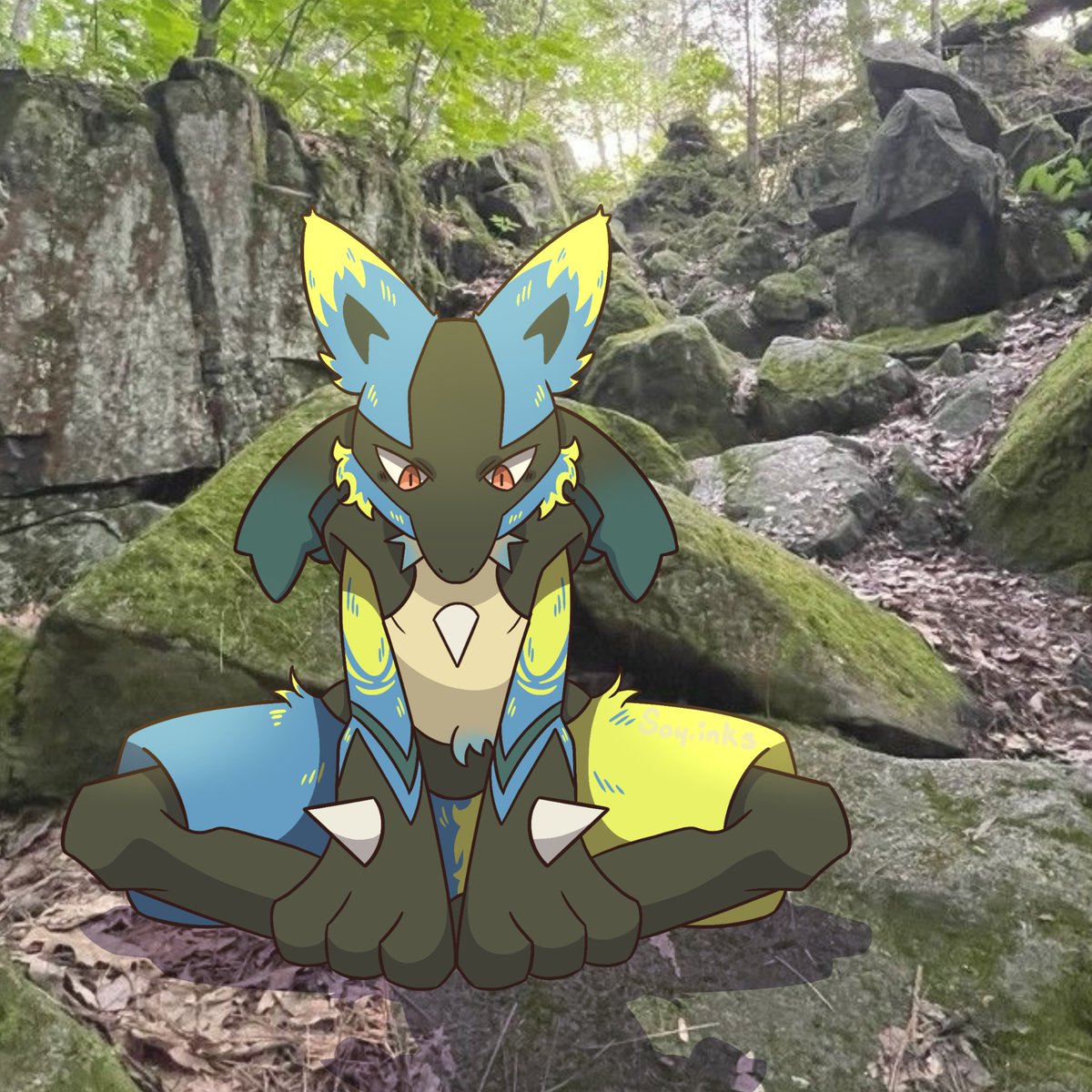 soy_inks's tweet photo. some pokemon drawings :) the first is my lucario oc, and the second is just a silly little torracat #pokemon #pokemonfanart #ocart https://t.co/B64la7Vclr