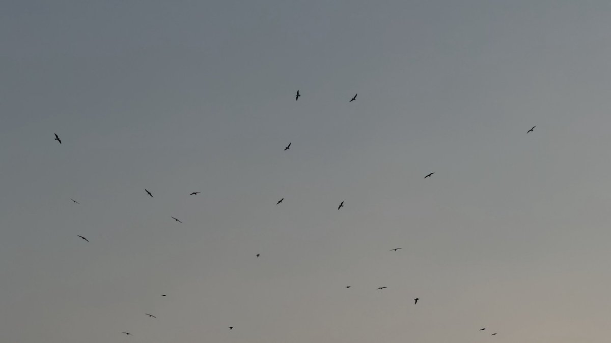 یونہی گر روتا رہا، غالب تو اے اہلِجہاں!

دیکھنا ان بستیوں کو تم کہ ویراں ہو گئیں۔۔۔۔