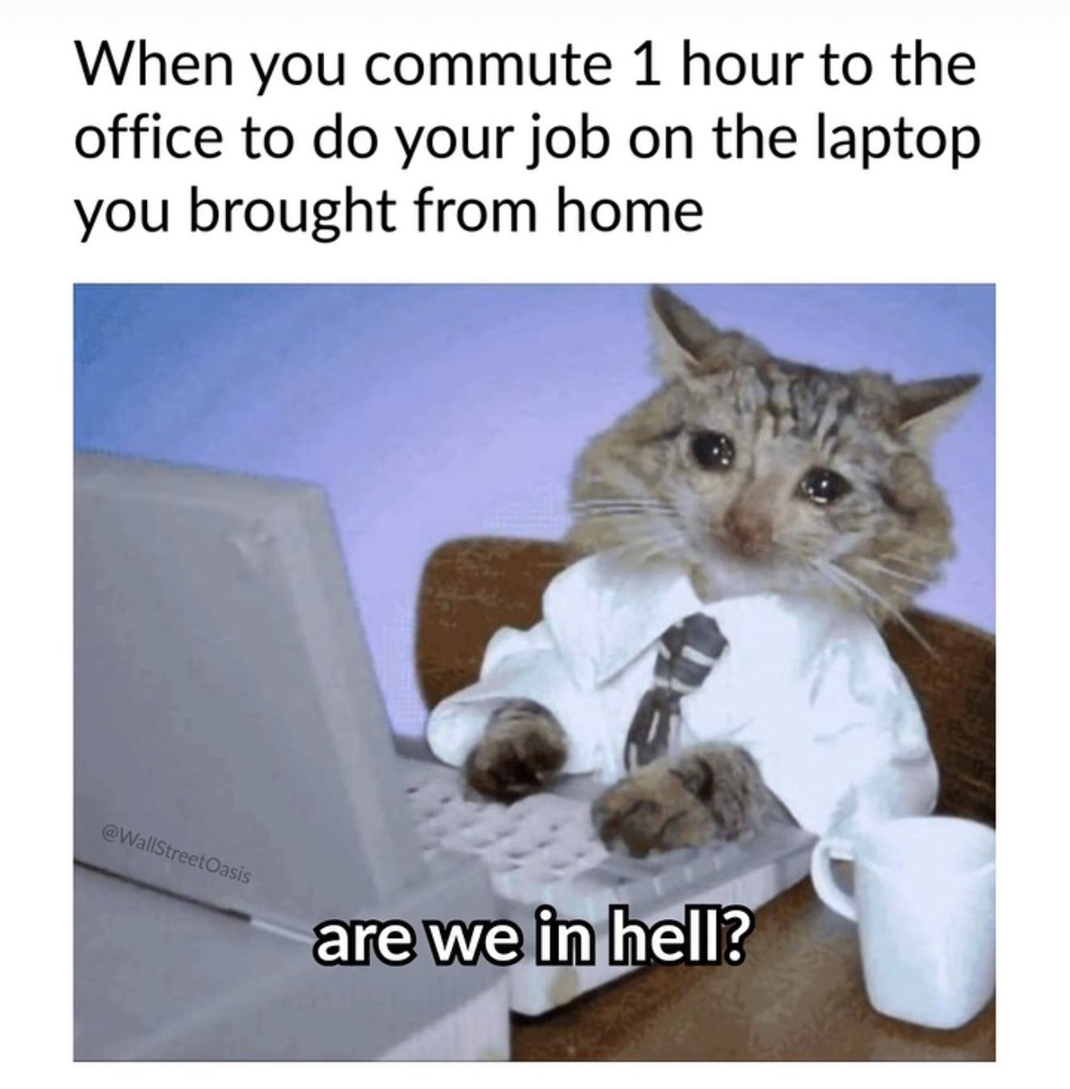 These past few days have been lovely, I can’t wait to start going in to the office 4 days a week again.